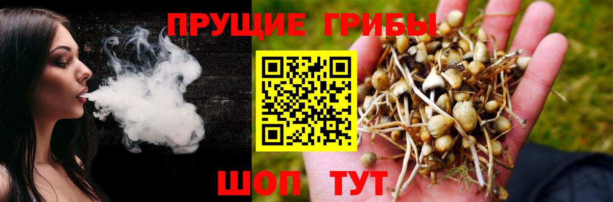Псилоцибиновые грибы мицелий  Вход с VPN  наркошоп  Магадан 